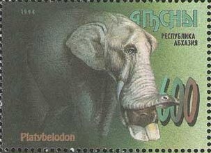 World Football Championship