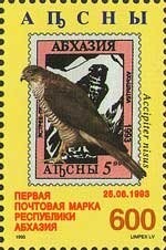 Warriors and flag of Abkhazia