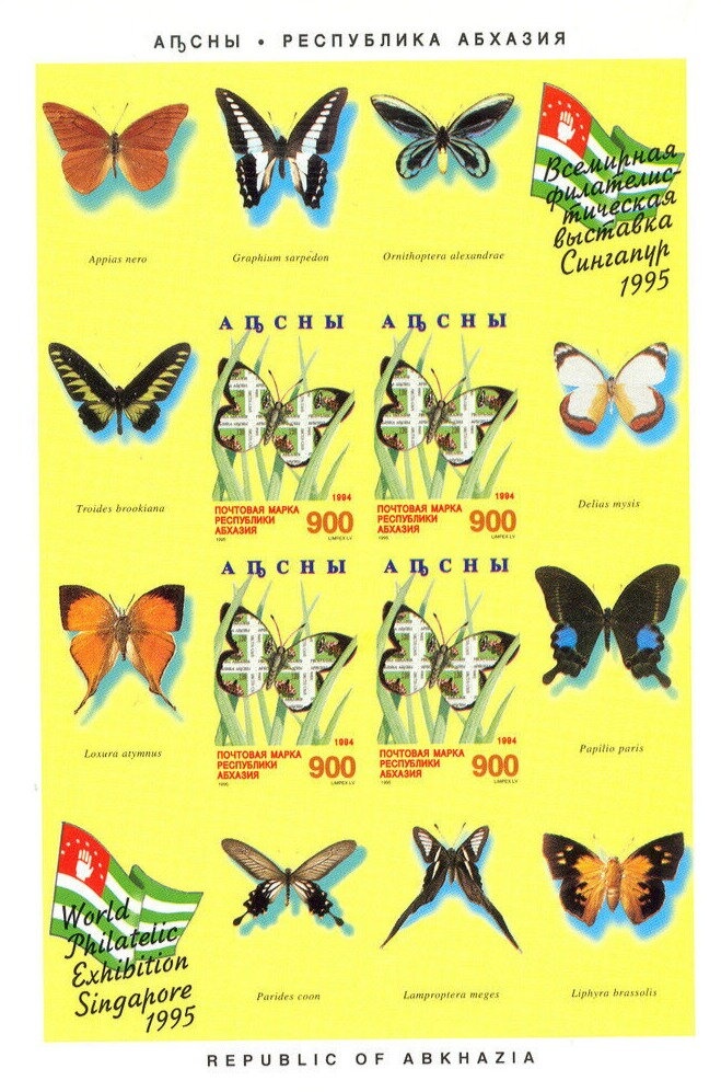 Rufous hummingbird (Selasphorus rufus)