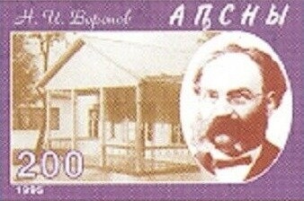 Eurasian sparrowhawk (Accipiter nisus)