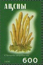 Russians in Abkhazia