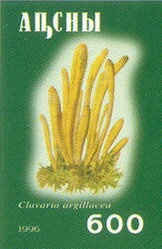 Regional Issues 500R