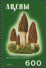 Dr. Sun Yat-sen, Sinkiang overprinted (retouched)