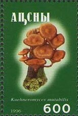 Dr. Sun Yat-sen, Sinkiang overprinted