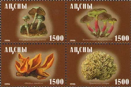 Eurasian Sparrowhawk (Accipiter nisus)