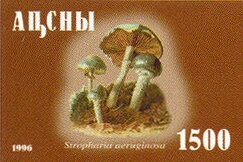 Sea Life (2nd Issue)