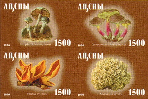 Deep root Mushroom (Xerula radicata)