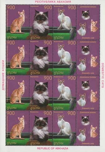 Jeannelius magnificus Kurnakov