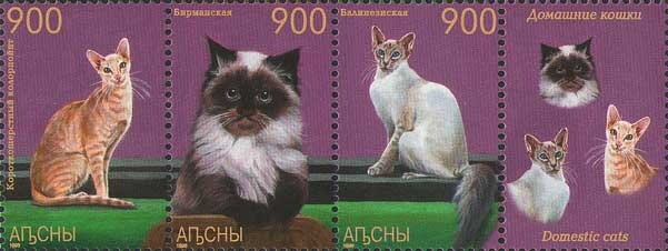 Jeannelius gloriusus Ljovushkin