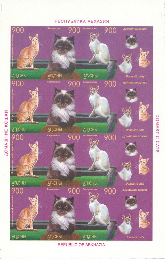 Moon Landing 25th Anniversary