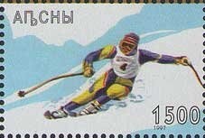 Gagra Region: White Wagtail (Motacilla alba)