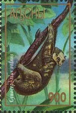 Stropharia aeruginosa