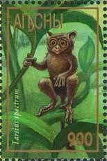 German Shorthaired Pointer