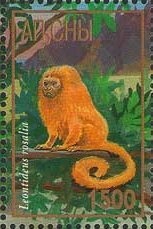 Hollywood Stars for the 21st Century