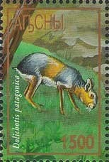 Chess Games (Karpov - Timman and Kasparov - Short)