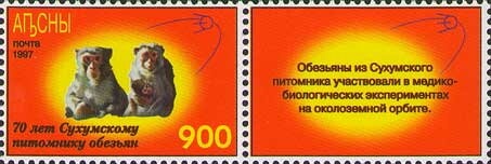 USA Space Programm: Space Shuttle