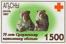 Sukhum Region: Wren (Troglodytes troglodytes)