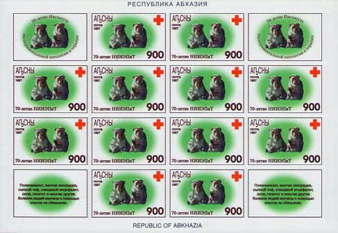 Gal Region: Goldfinch (Carduelis carduelis)