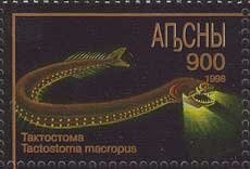 Eulimnogammarus virgatus