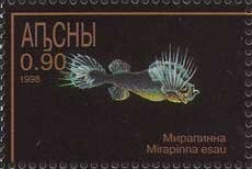 Copiapoa columna-alba