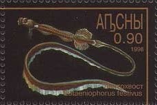 Year of the Tiger 1998