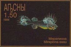 World Chess Championship