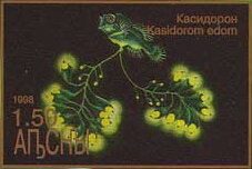 Chess Festival "Abkhazia Open"