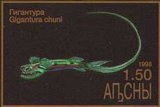 Big Bend slider (Trachemys gaigeae)