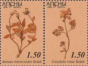 Portrait of abkhazian poet Leonty Labakhua (1912-1938)