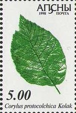 Portrait of politician G.A. Dzidzariya (1914-1988)