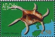 Portrait of actor Sharakh Pachalija (1914-2000)