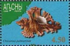 Halley's comet and soviet zond Vega