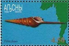 Eurasian sparrowhawk (Accipiter nisus)