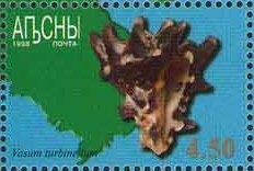 Gulripsh Region: Northern Lapwing (Vanellus vanelllus)