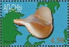 Medal hero of Abkhasia