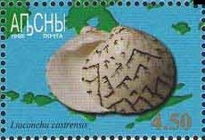 Portrait of Prince Georgy Mikhailovich Chachba-Shervashydze