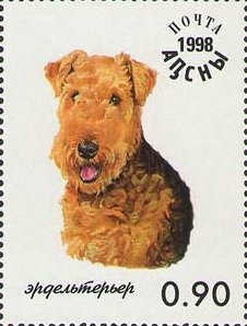 Spectacled bear (Tremarctos ornatus)