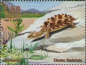 Torch Lily (Kniphofia uvaria)