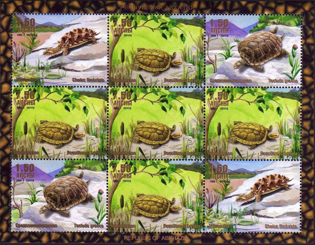 Legends of Abkhazian Football