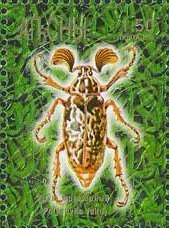 Modern and ancient ship