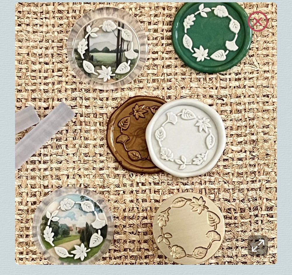 Gal Region: Pintail (Anas acuta)