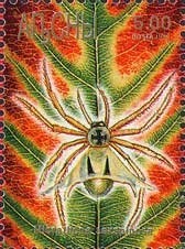 Abkhasian national costume XVIII-XIX c.