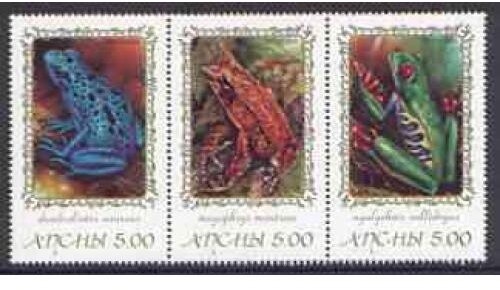 Eutaeniophorus festivus