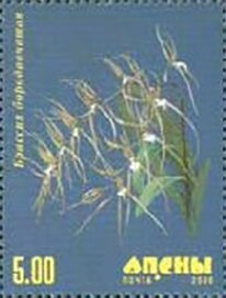 Portrait of poet and artist Kosta Khetagurov (1859-1906)