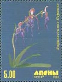 Sukhum Cultural Center Abaza