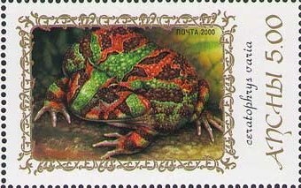 Kuehneromyces mutabilis