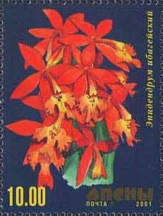 Portrait of ethnographer Nikolai Poteipa (1877-1941)