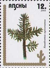 Medal hero of Abkhasia