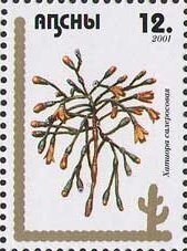 EUROPA 2005 - The Integration as seen by Young People