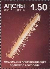 Macrodontia cervicornis